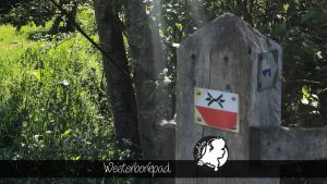 Wandelpin Westerborkpad