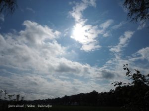Groene Wissel Helden