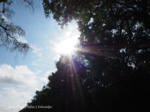 Groene Wissel Helden