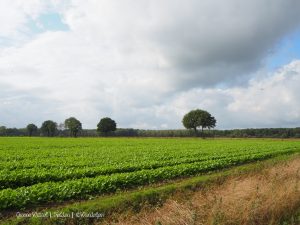 Groene Wissel Helden