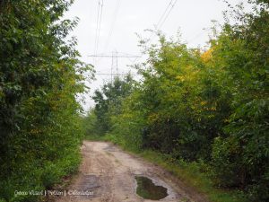 Groene Wissel Helden