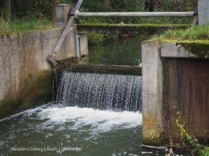 Wandelpin Baarlo