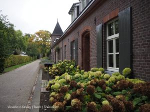Wandelpin Baarlo