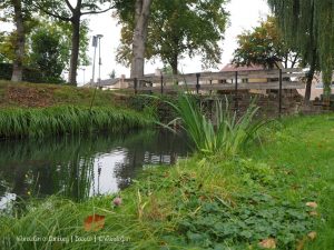 Wandelpin Baarlo