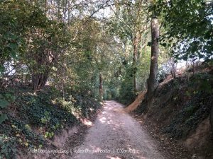 Wandelpin BoswachterEllen