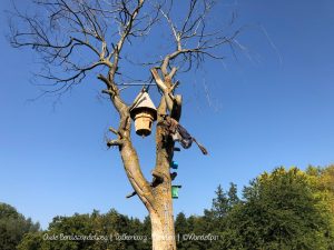 Wandelpin BoswachterEllen