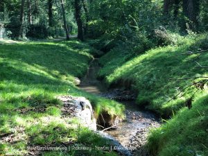Wandelpin BoswachterEllen