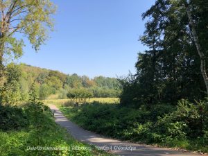 Wandelpin BoswachterEllen