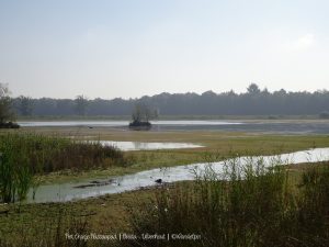 Wandelpin Oranje Nassaupad
