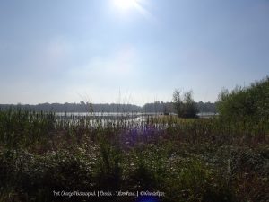 Wandelpin Oranje Nassaupad
