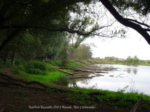 Wandelpin Rivierpark Maasvallei