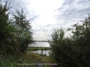 Wandelpin Rivierpark Maasvallei