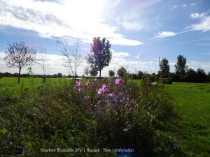 Wandelpin Rivierpark Maasvallei