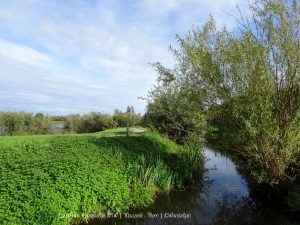 Wandelpin Rivierpark Maasvallei