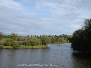 Wandelpin Rivierpark Maasvallei