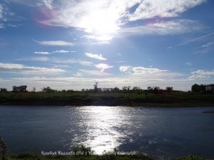 Wandelpin Rivierpark Maasvallei