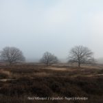 Wandelpin Noord-Hollandpad