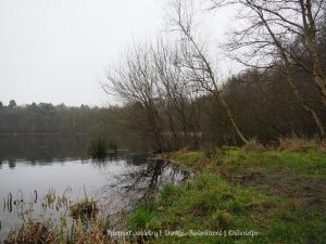 Wandelpin Knooppunten
