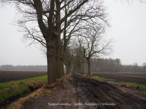 Wandelpin Knooppunten