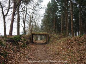 Wandelpin Knooppunten