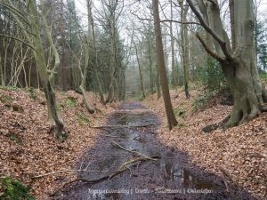 Wandelpin Knooppunten