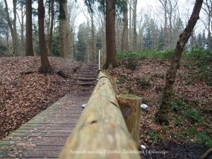 Wandelpin Knooppunten