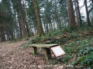 Wandelpin Knooppunten