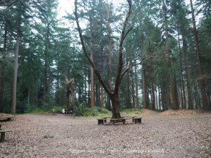 Wandelpin Knooppunten