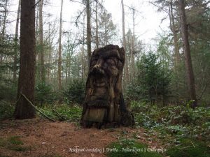 Wandelpin Knooppunten