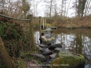 Wandelpin Wandelknooppunten