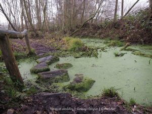 Wandelpin Wandelknooppunten