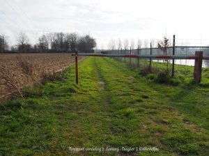 Wandelpin Wandelknooppunten