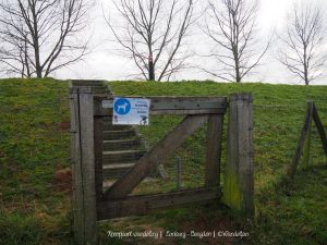 Wandelpin Wandelknooppunten