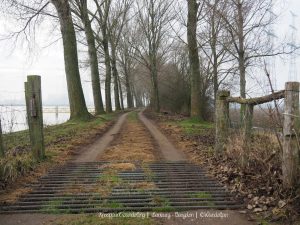 Wandelpin Wandelknooppunten
