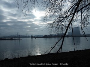 Wandelpin Wandelknooppunten