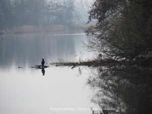 Wandelpin Wandelknooppunten