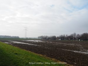 Wandelpin Wandelknooppunten
