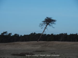 Wandelpin Knooppunt wandeling
