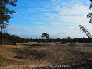 Wandelpin Knooppunt wandeling