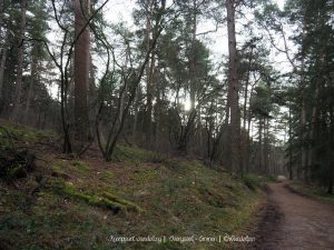 Wandelpin Knooppunt wandeling