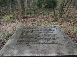 Wandelpin Knooppunt wandeling