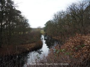 Wandelpin Knooppunt wandeling
