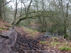 Wandelpin Knooppunt wandeling
