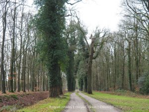 Wandelpin Knooppunt wandeling
