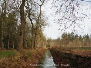 Wandelpin Knooppunt wandeling