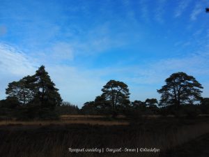 Wandelpin Knooppunt wandeling