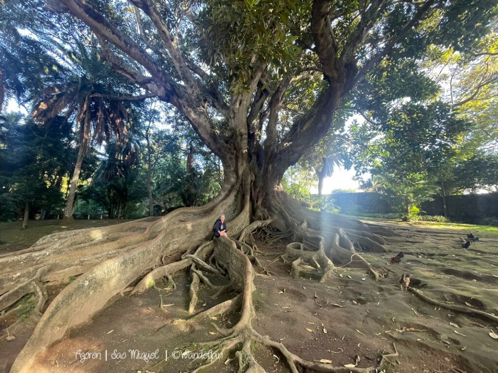 São Miquel - Ponta Delgada & Furnas